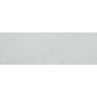 Glasfiberpool Grenada 600 med intressant form och pooltak, grå texturerad yta