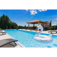 Vit svanfloat i glasfiberpool Jamaika, blå pool med pooltak