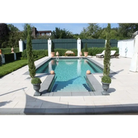 Rektangulär pool med turkost vatten i Rustica Nevada paket, grå stenplattor och träd