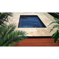 Leisurepools Fiji Plunge 2,9×2,1m med djupblått vatten och palmfronds