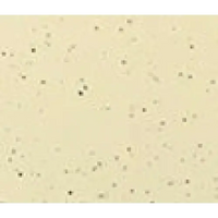 Beige texturerad yta på Mira wellness pool MIRA390 388x228x80