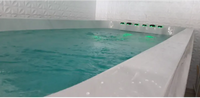 Vit PassionSpa Dynamic Deep Swim Spa med vit bad med gröna LED-ljus