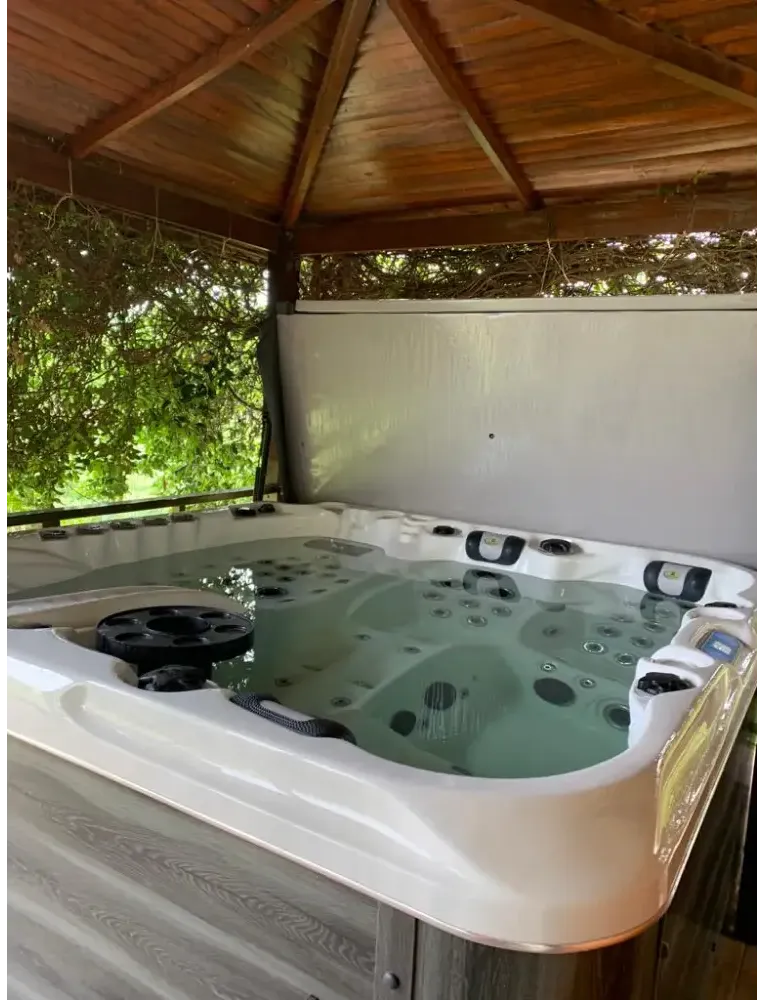 PassionSpa Euphoria Mighty Wave: cremefärgad spabad med svarta jet och trägolv