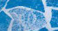 Carrara +29120 kr